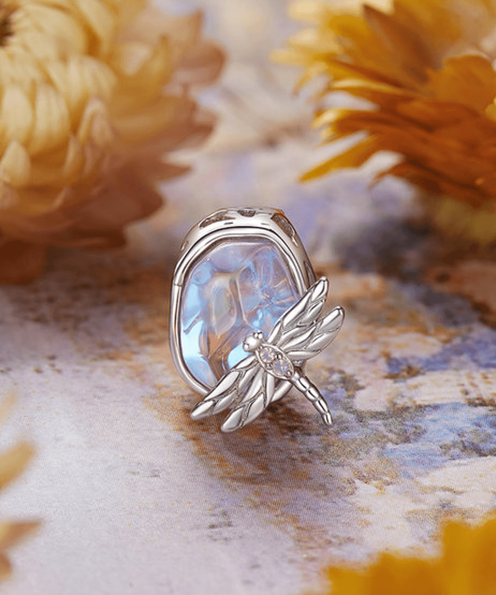 Libelia-CH10DF-Display-2